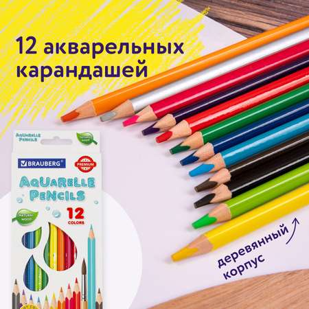 Карандаши акварельные Brauberg 12 шт.