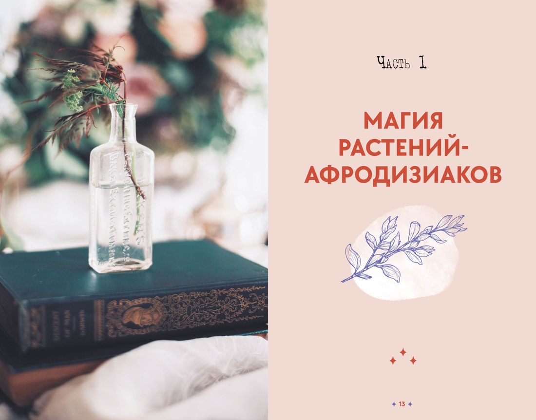 Книга КОЛИБРИ Растения любви: подарок внутри. Сборный комплект в т.у. с наклейками - фото 15