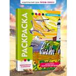 Раскраска по номерам Проф-Пресс большая Вдохновение и гармония 50 сюжетов