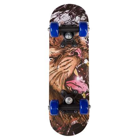 Скейтборд SXRide 43 см