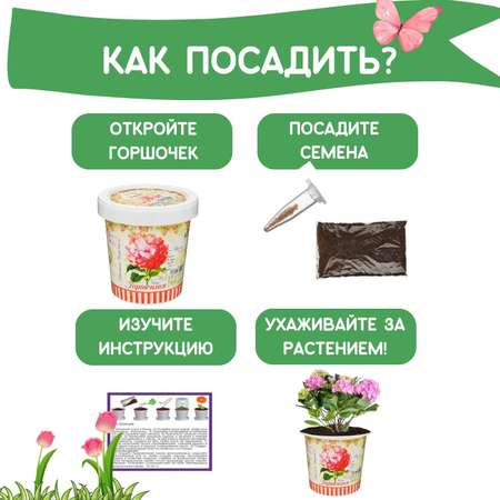 Набор для выращивания Rostok Visa