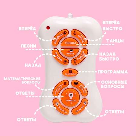 Кошка РУ Автоград