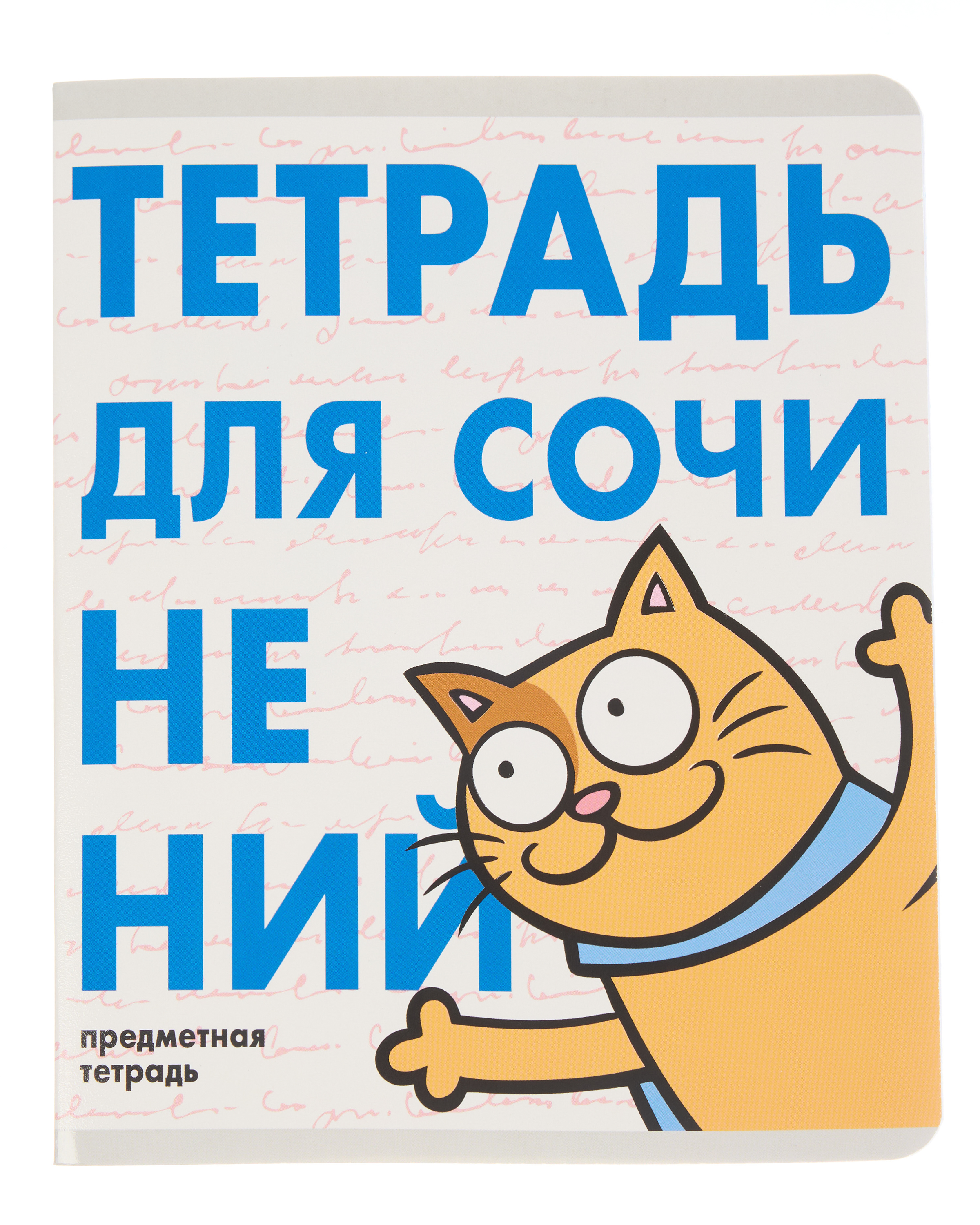 Тетрадь Erhaft 48 лист. (для сочинений) - фото 1