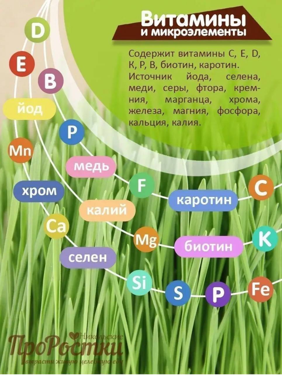 Семена для микрозелени Никольские ПроРостки пшеница - фото 5