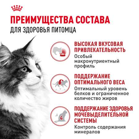 Корм влажный для кошек ROYAL CANIN Instinctive 85г желе пауч 77848
