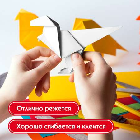 Белый картон Пифагор 24 лист.