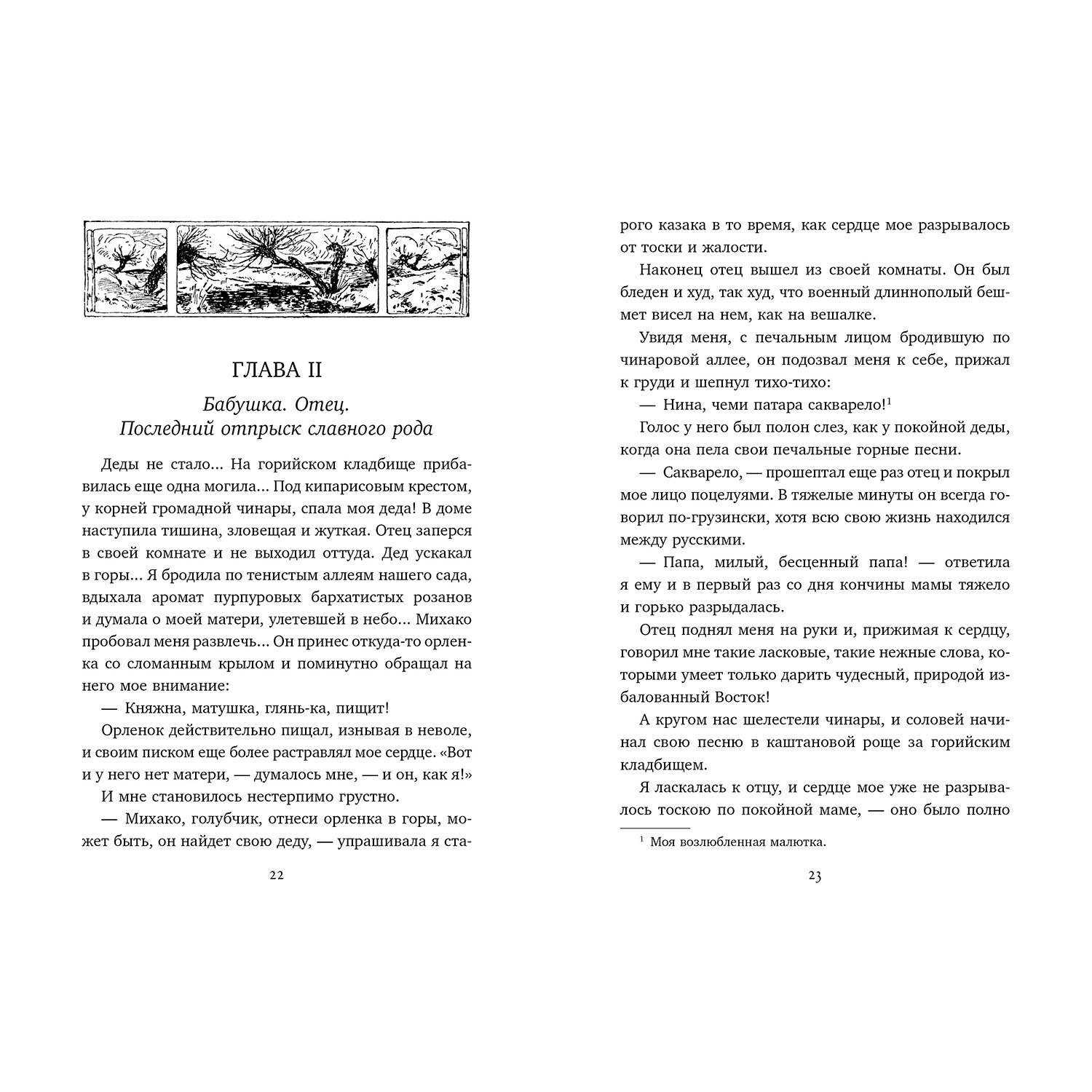 Книга Махаон Княжна Джаваха - фото 3