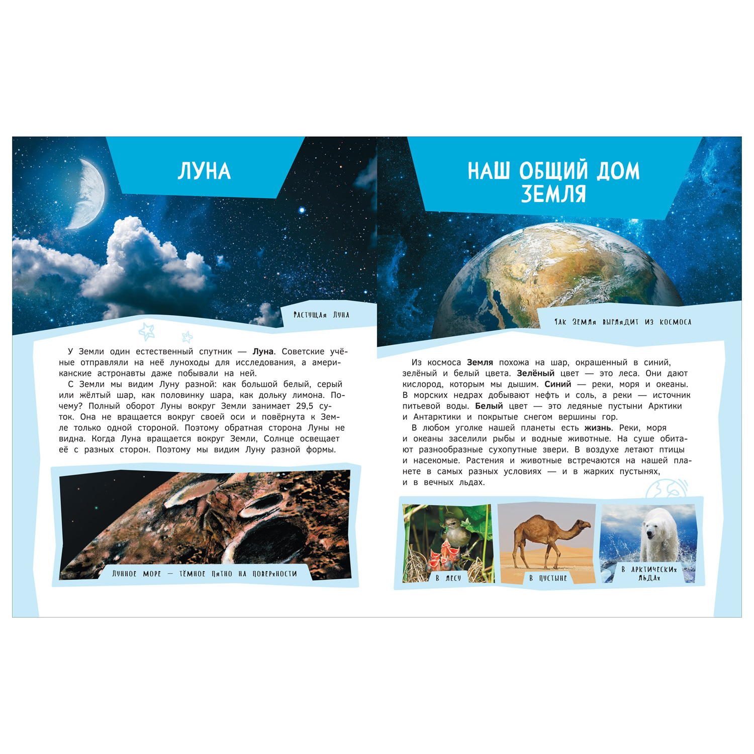 Книга Росмэн Подарок маленькому школьнику Энциклопедия - фото 2