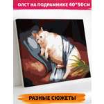 Картина по номерам Hobby Paint Грустный котик в ассортименте