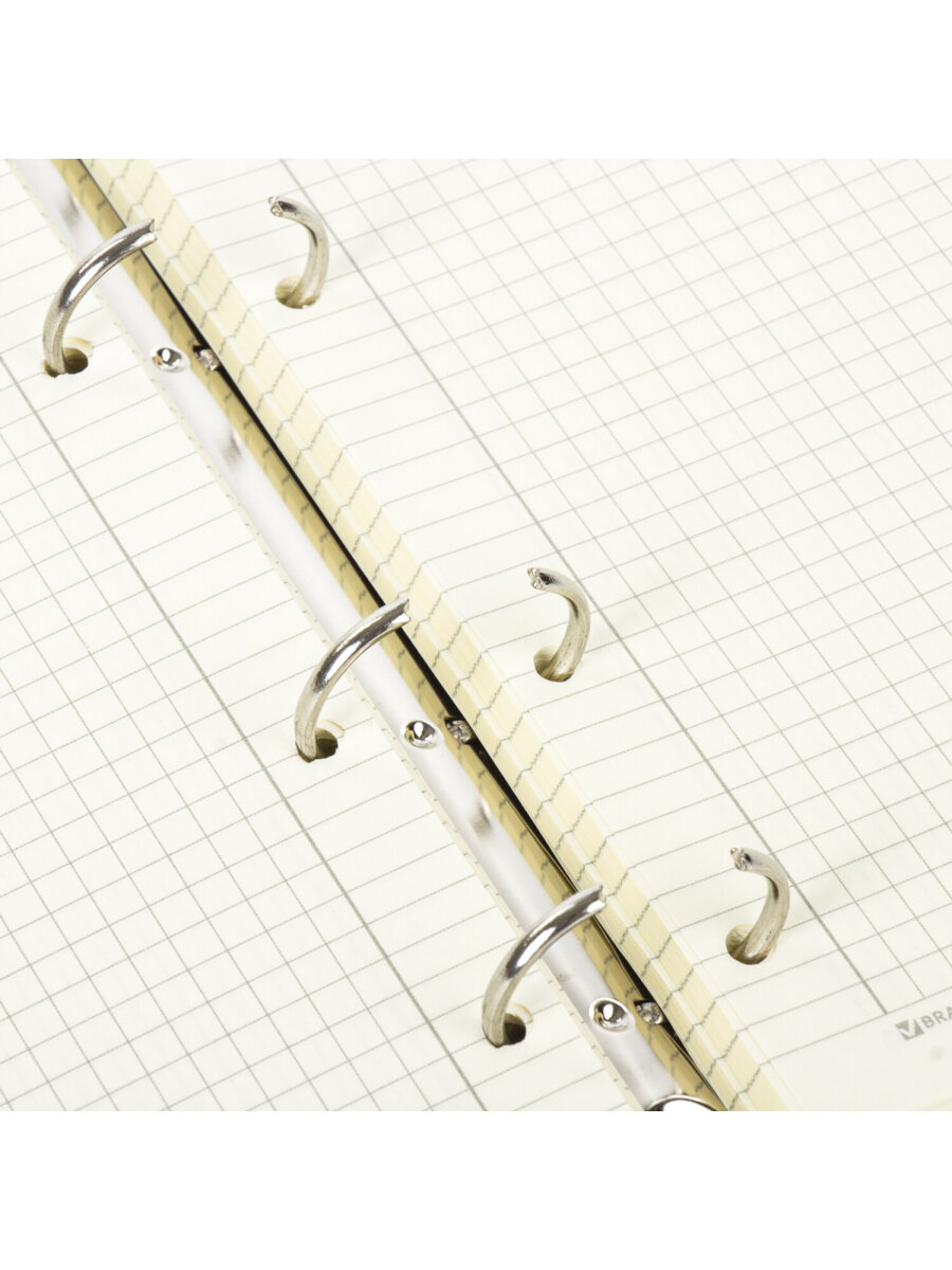 Тетрадь со сменным блоком Brauberg клетка 120 лист. - фото 10