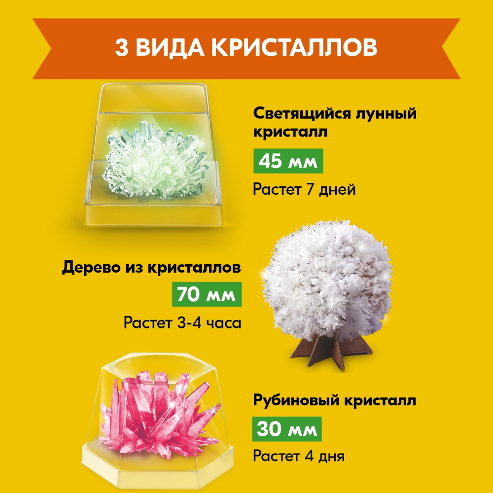 Набор для опытов 4M - фото 5