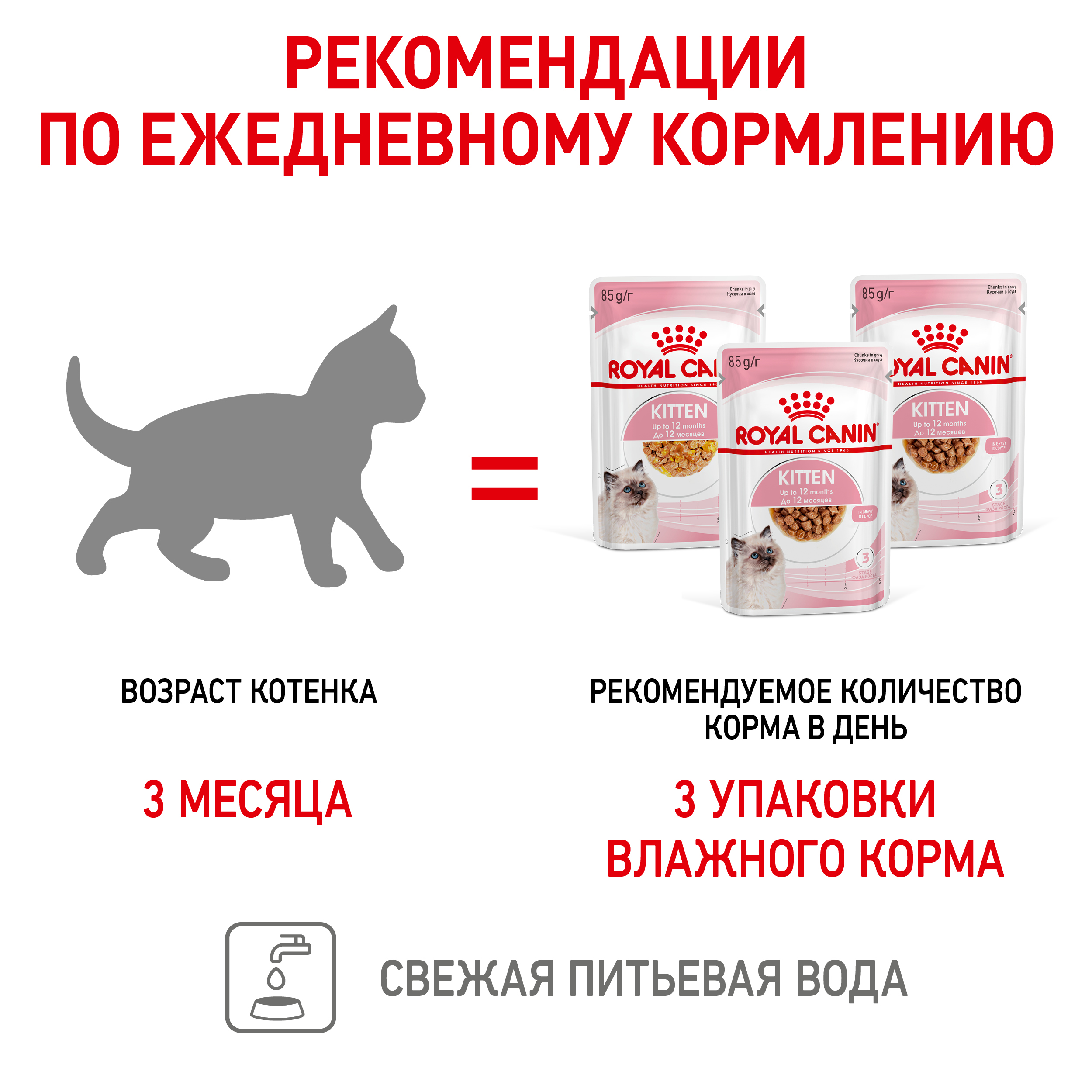 Корм для кошек Royal Canin 85г*10шт Kitten - фото 5