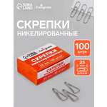 Скрепки Calligrata