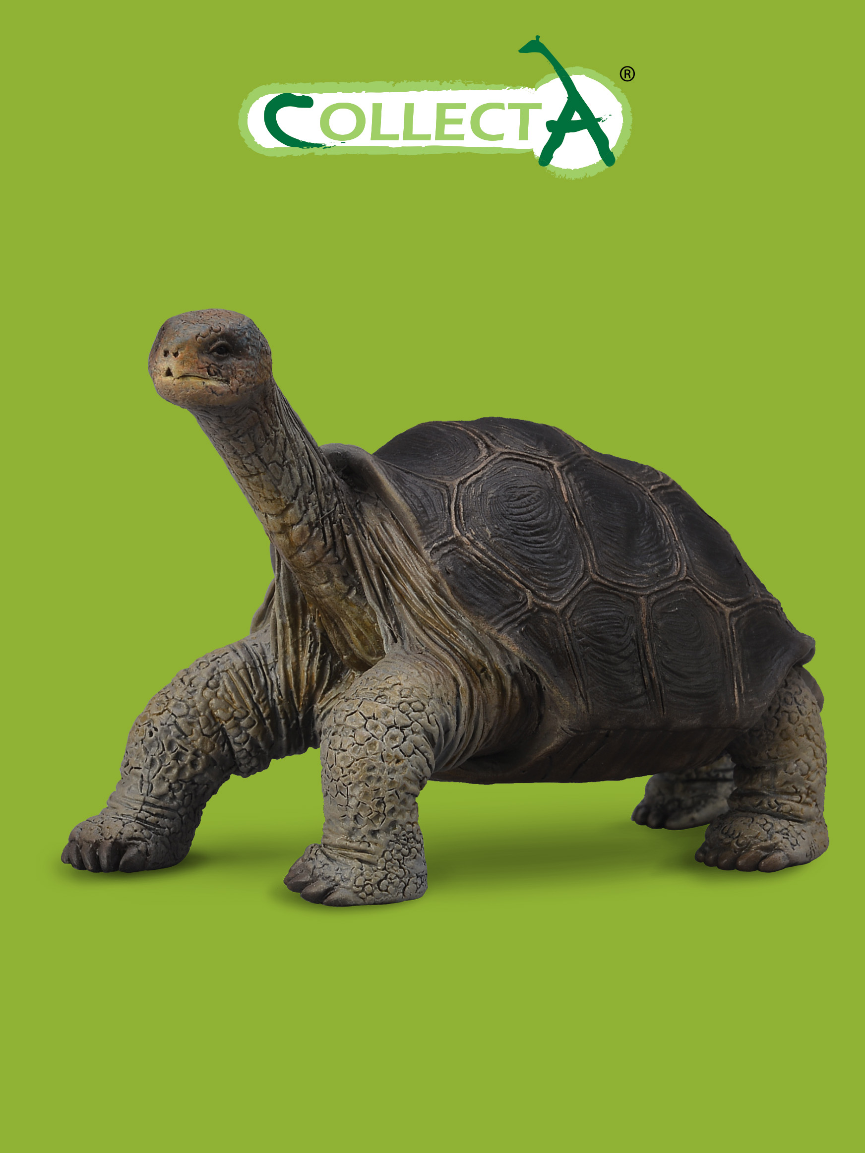 Фигурка Collecta Абингдонская слоновая черепаха - фото 1