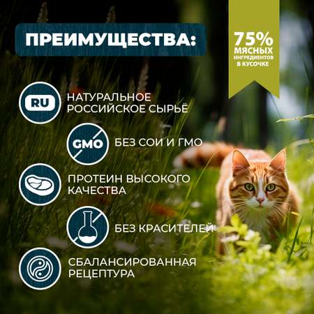 Корм для кошек и котов Родные корма стерилизованных и кастрированных По-липецки с кроликом кусочки в соусе 85г