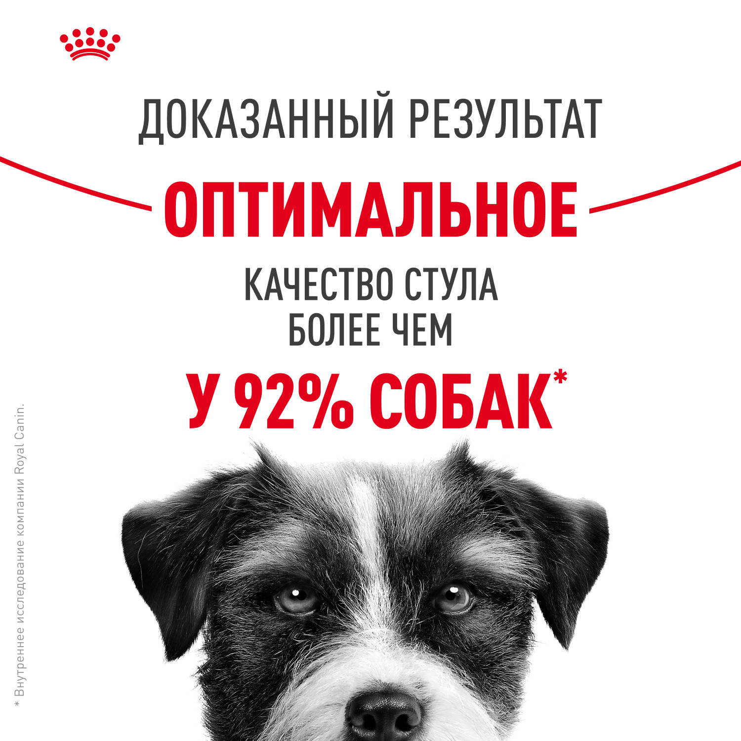 Корм для собак ROYAL CANIN Mini Digestive Care мелких пород с чувствительным пищеварением 3кг - фото 4