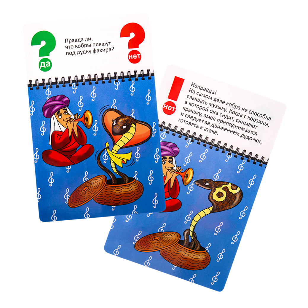 Настольная игра Рыжий кот - фото 3