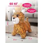 Прыгун Altacto