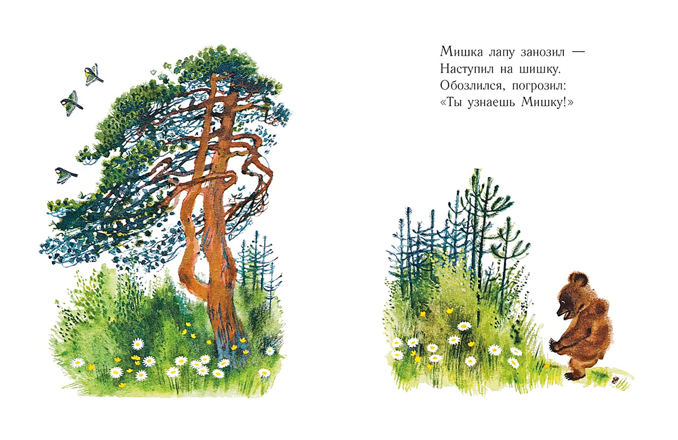 Книга Издательство Речь Мишка - фото 2