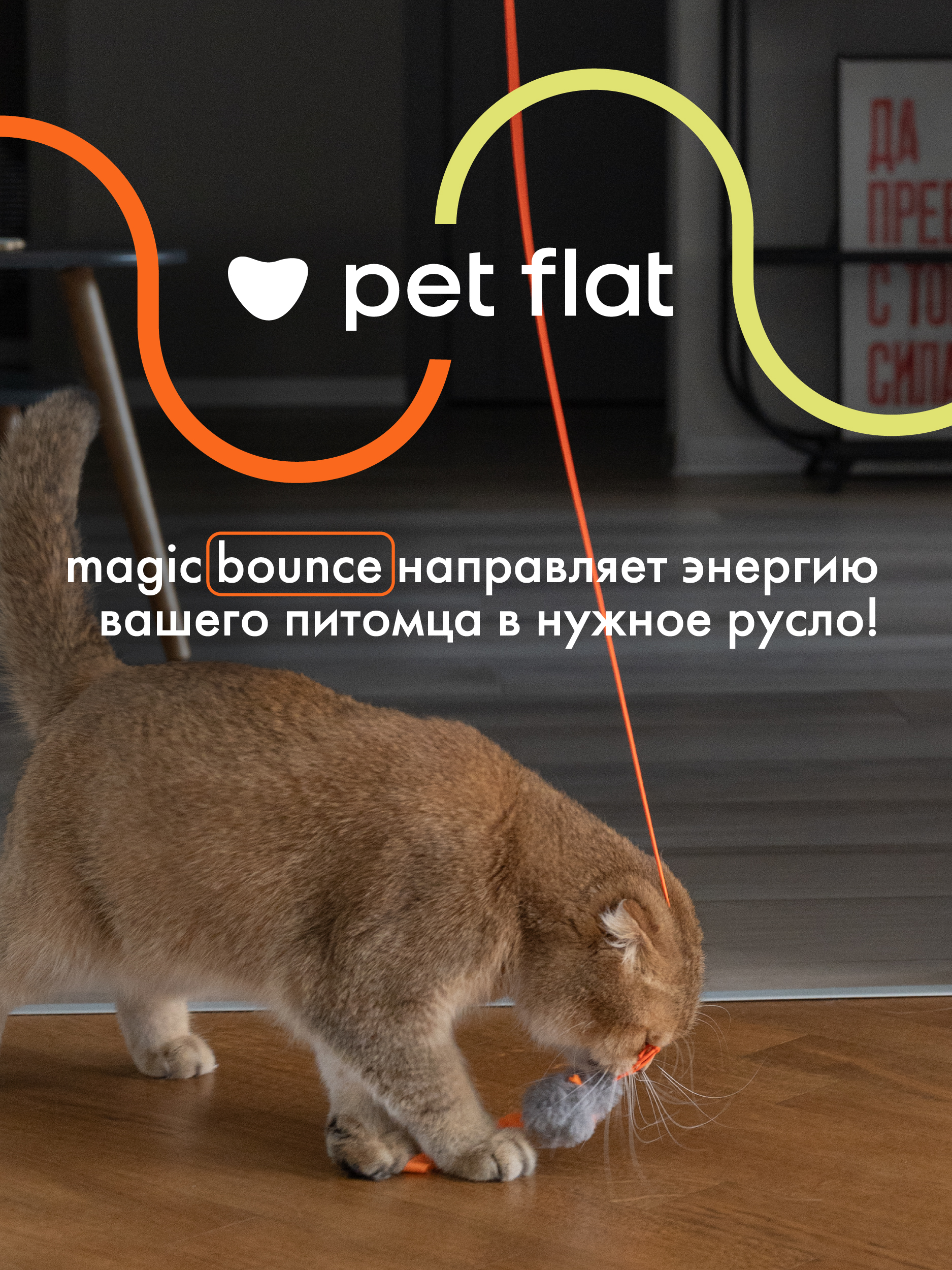 Интерактивная игрушка Pet Flat Умная дразнилка для кошек с мышкой - фото 9