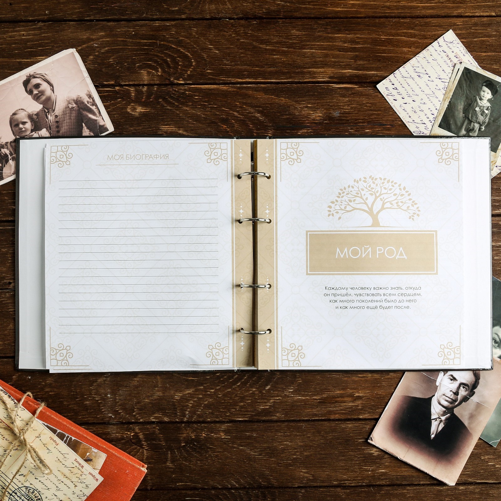 Родословная книга Sima-Land « нашей семьи» 84 страницы 24.5 х 23 х 4 см - фото 13
