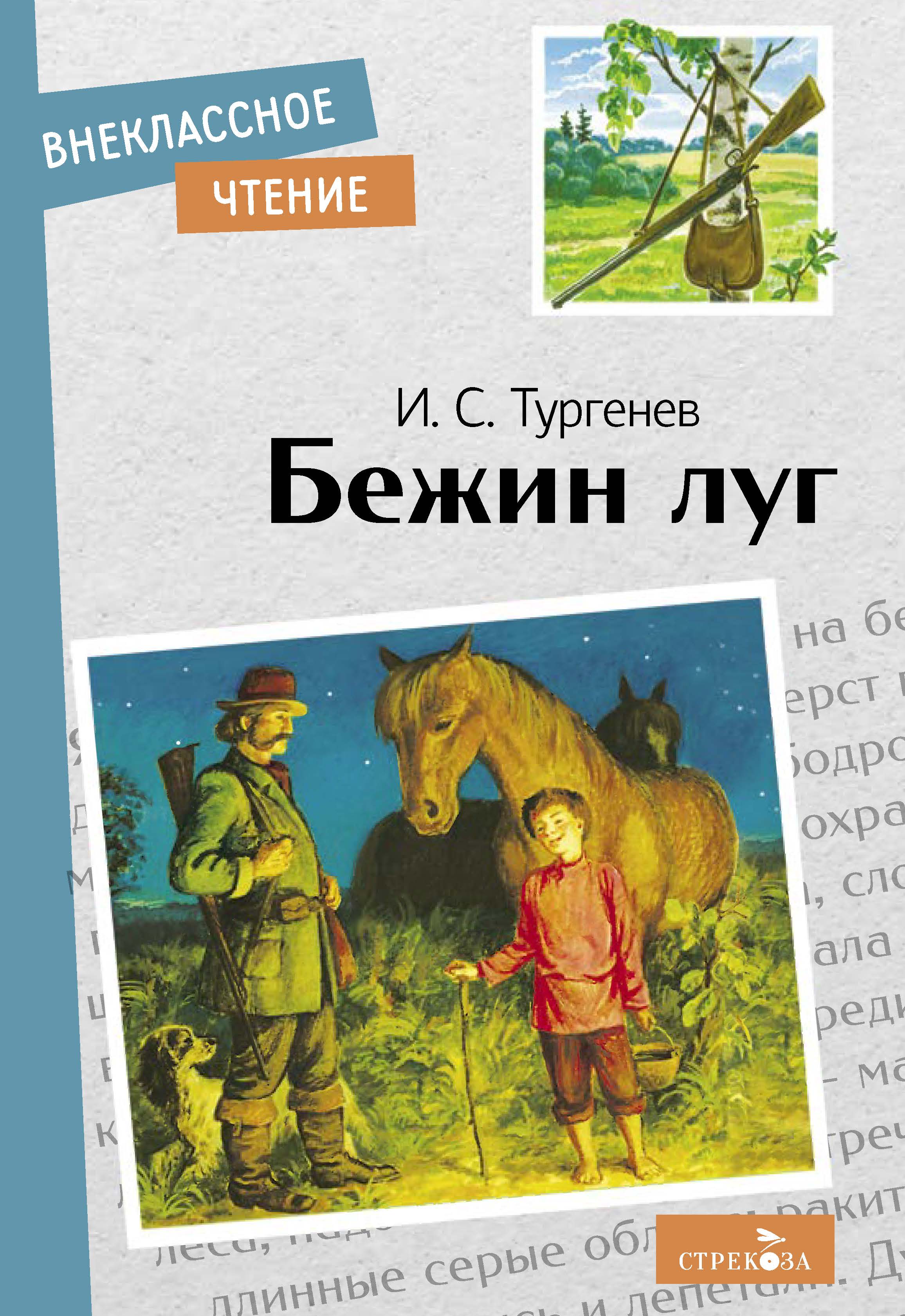 Книга СТРЕКОЗА Внеклассное чтение - фото 1