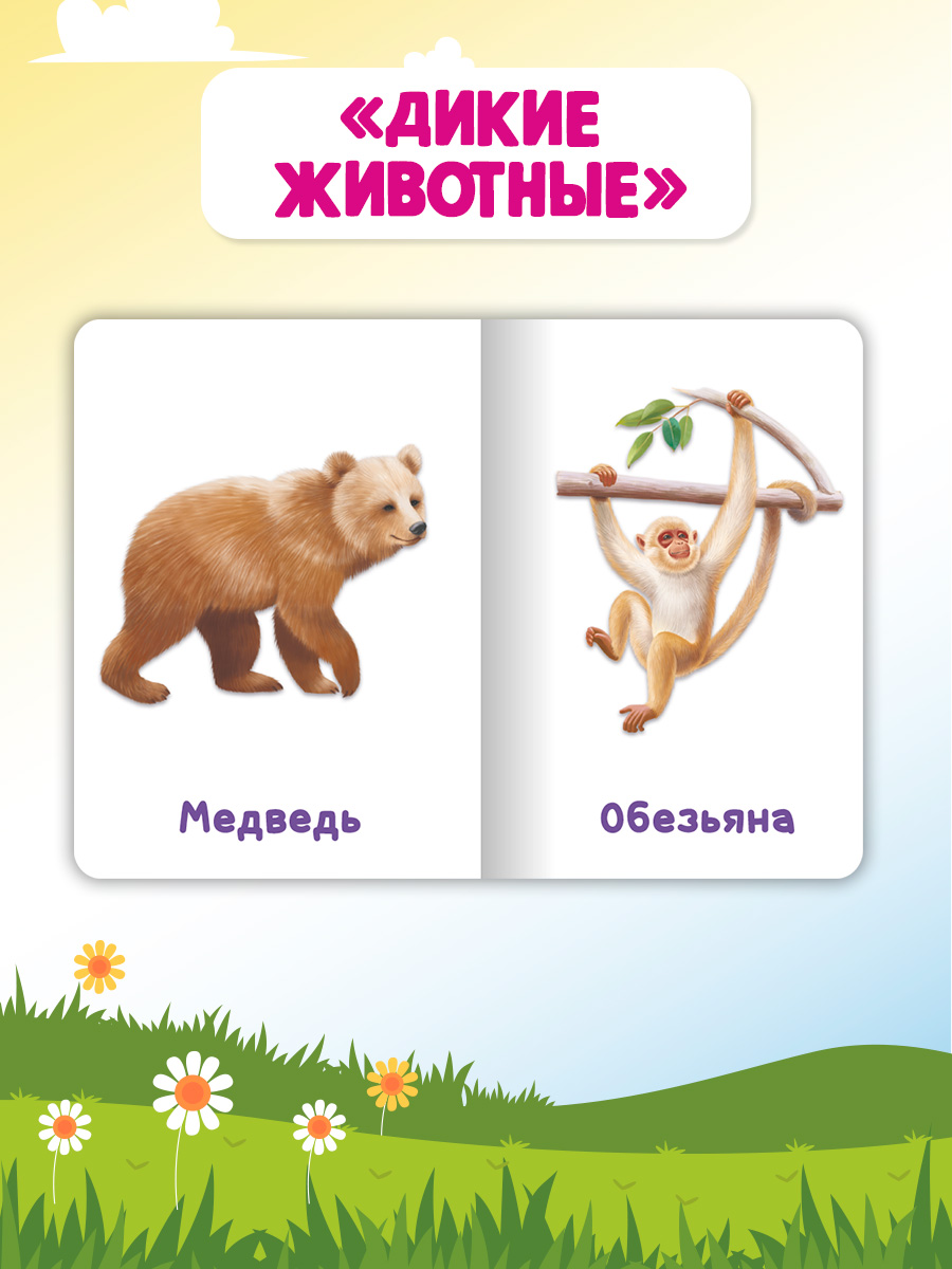Книжки Проф-Пресс картонные мини 4 шт. Дикие и домашние животные+транспорт+овощи фрукты ягоды - фото 3