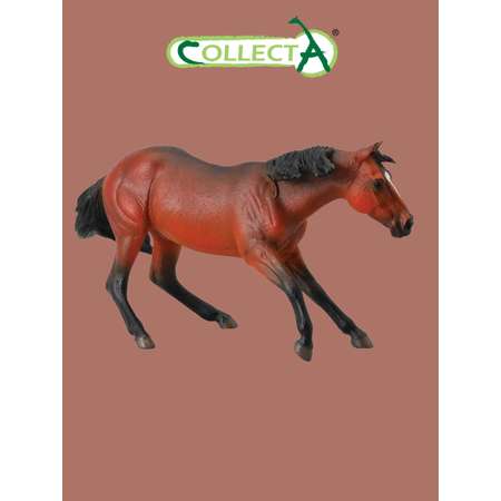 Фигурка Collecta Лошадь Квартерхорс (гнедой)