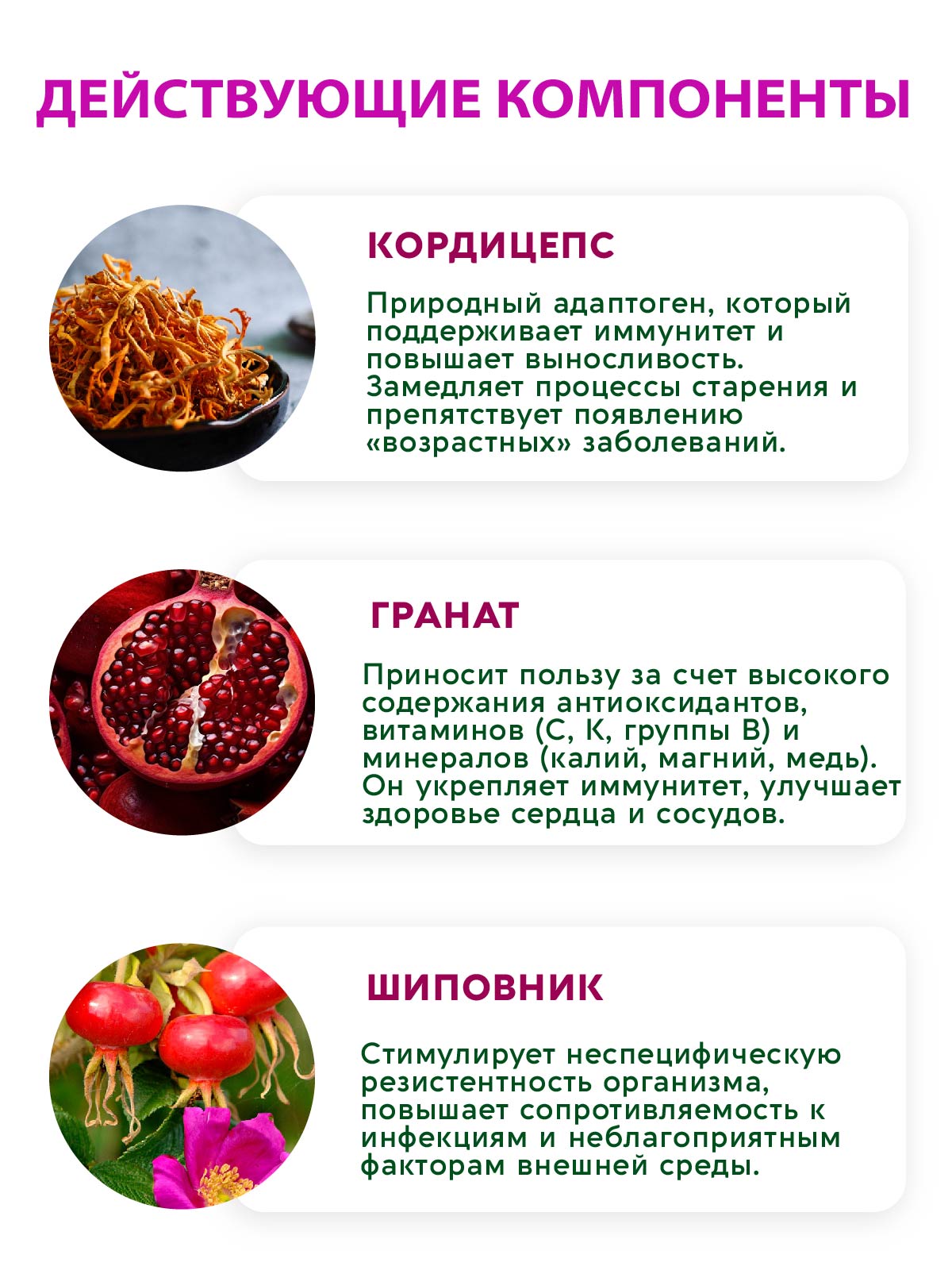 Коктейль для Иммунитета Вастэко с Кордицепсом Алоэ витаминами и пребиотиками - фото 5
