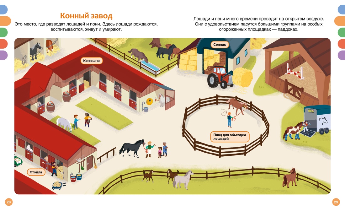 Книга Махаон Гийоре М. Лошади - фото 9