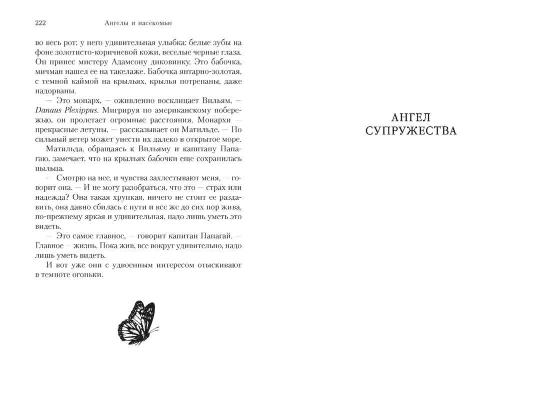 Книга АЗБУКА Ангелы и насекомые - фото 16