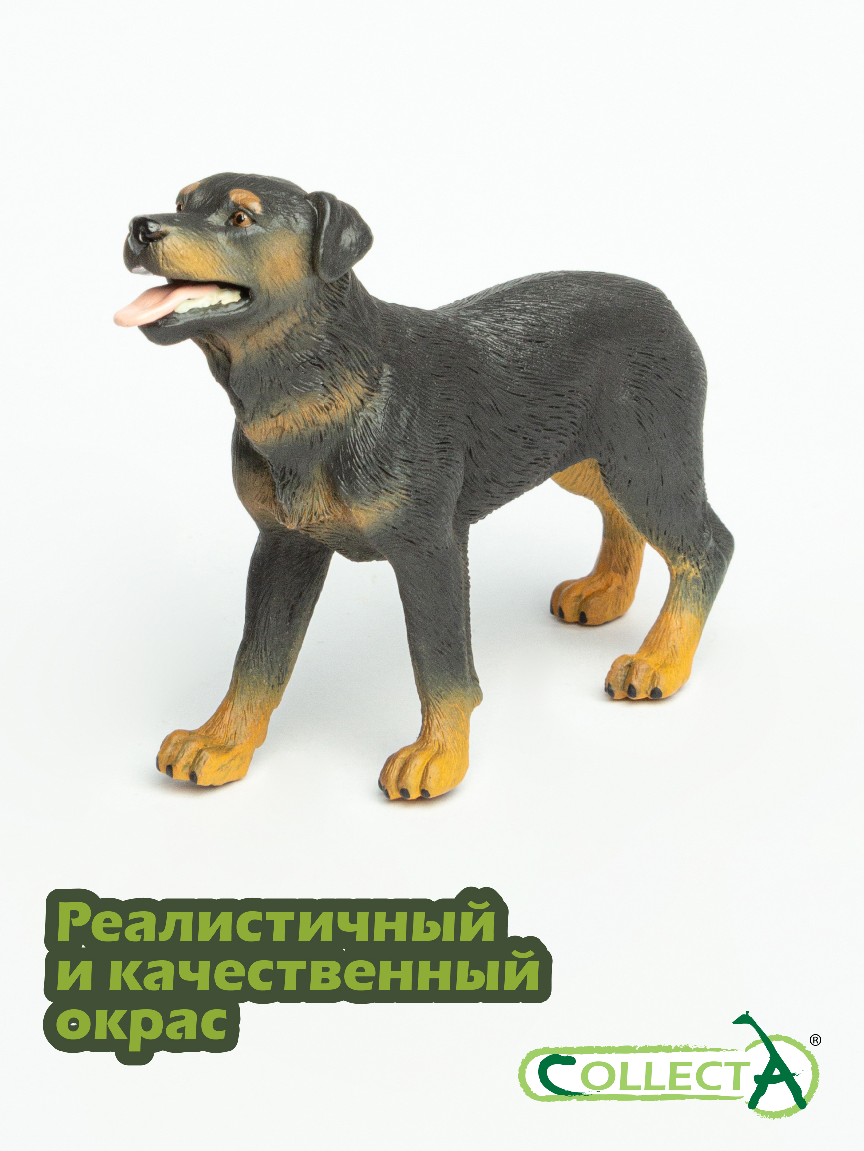 Фигурка Collecta Ротвейлер - фото 4