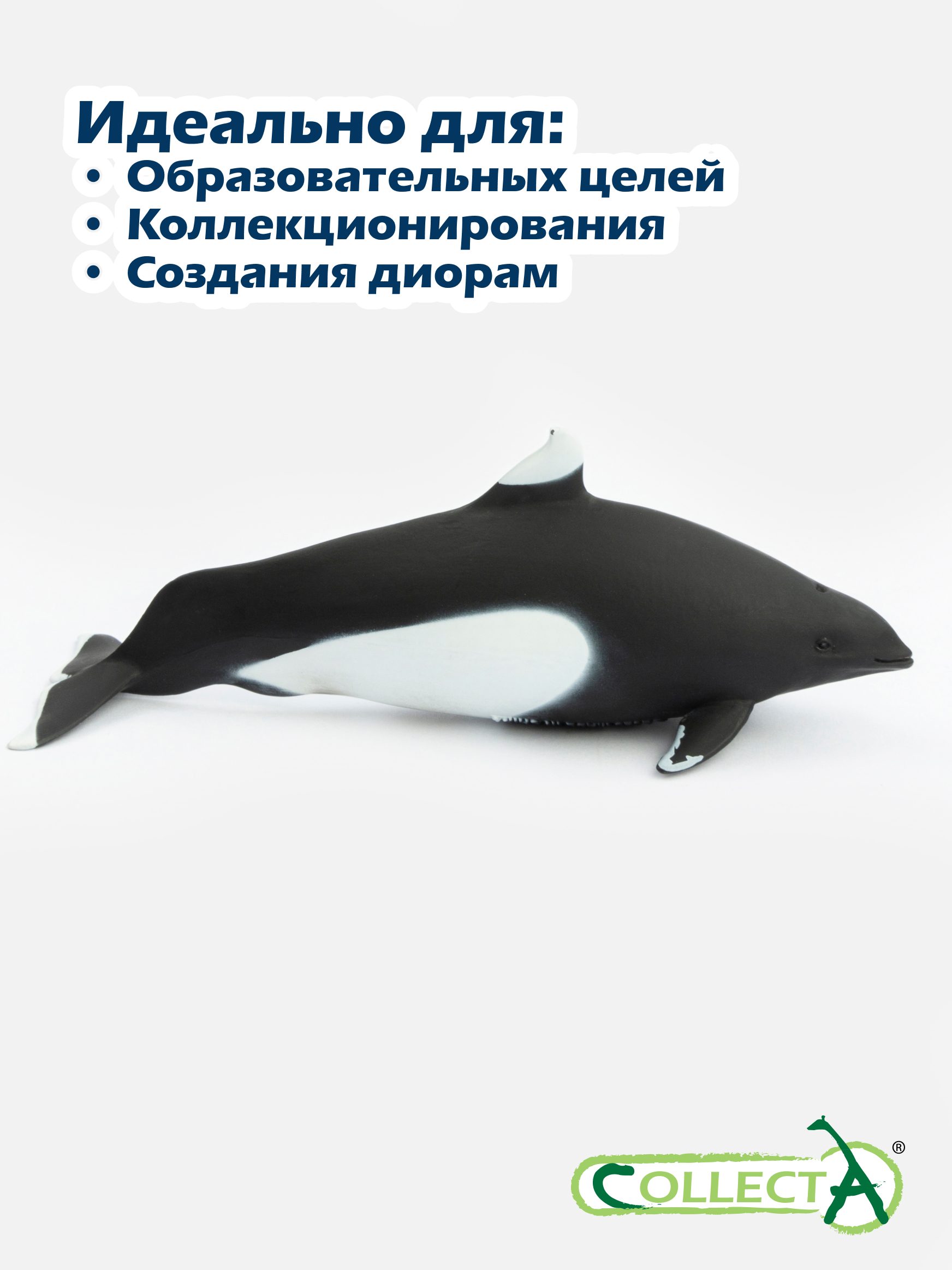 Фигурка Collecta Морская свинья Далля 4.8 см - фото 6