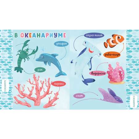 Книга Clever Издательство Первые книжки малыша. Пойдем гулять. Визуальный словарь