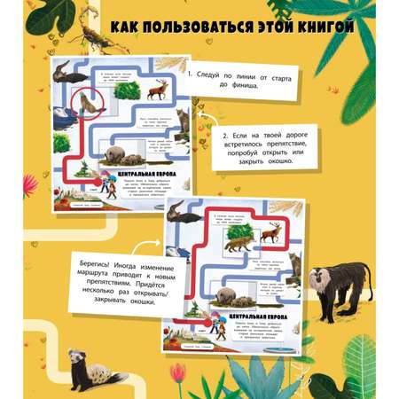 Книга Эксмо Вокруг света Лабиринты с окошками