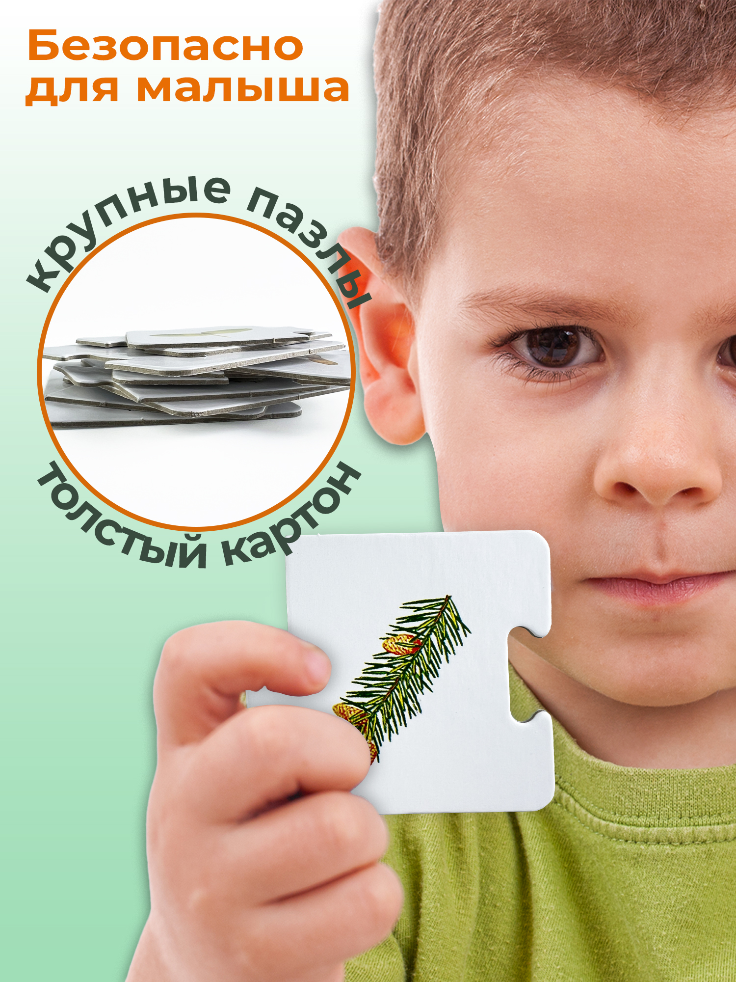 Развивающая игра Дрофа-Медиа С какого дерева листок 2896 - фото 3