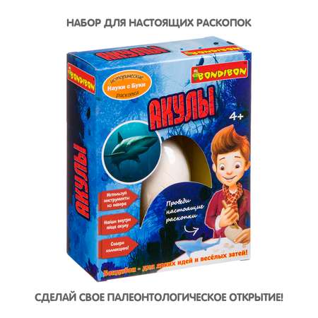 Набор для раскопок Bondibon Юный палеонтолог: Акулы