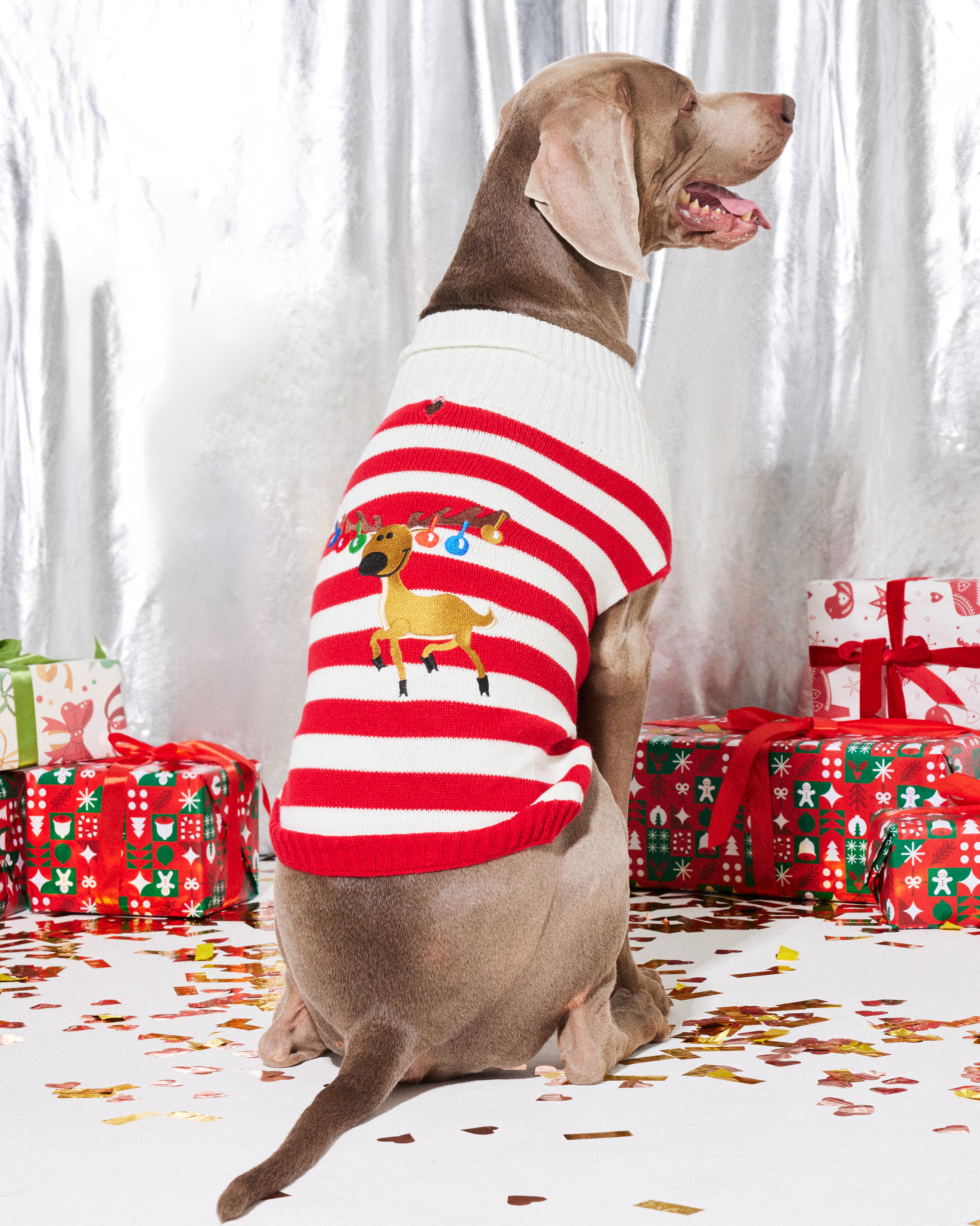 Джемпер для собак и кошек Зоозавр - фото 1