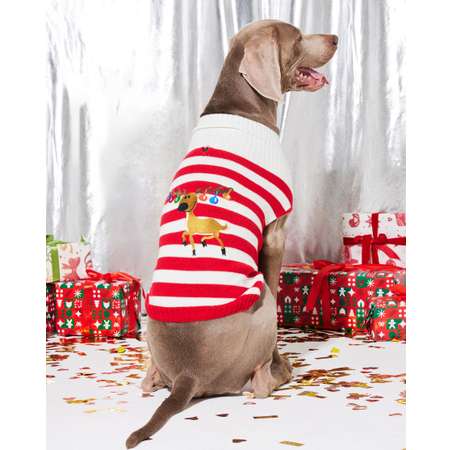 Джемпер для собак и кошек Зоозавр