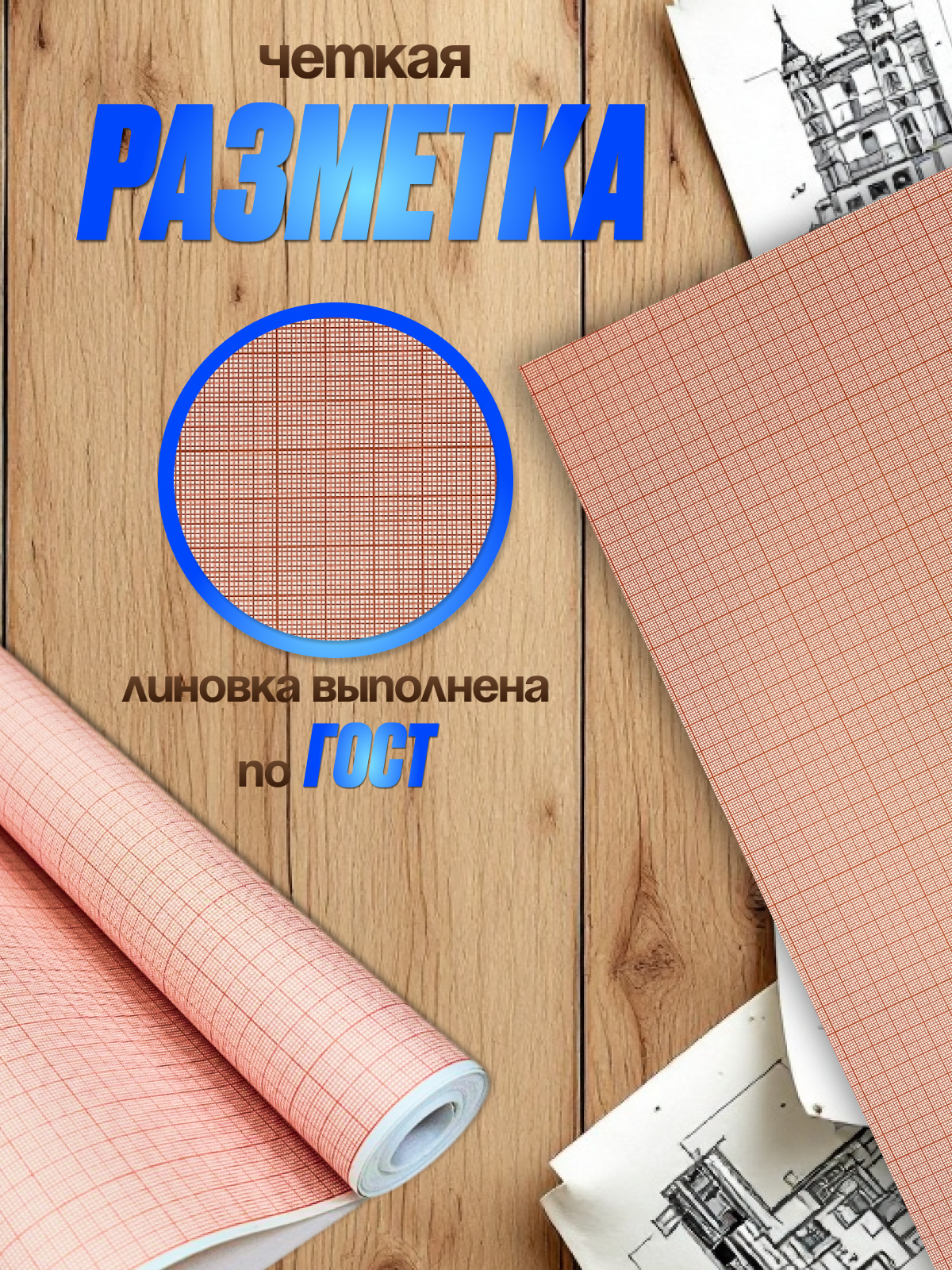 Масштабно-координатная AXLER 1 лист. - фото 2