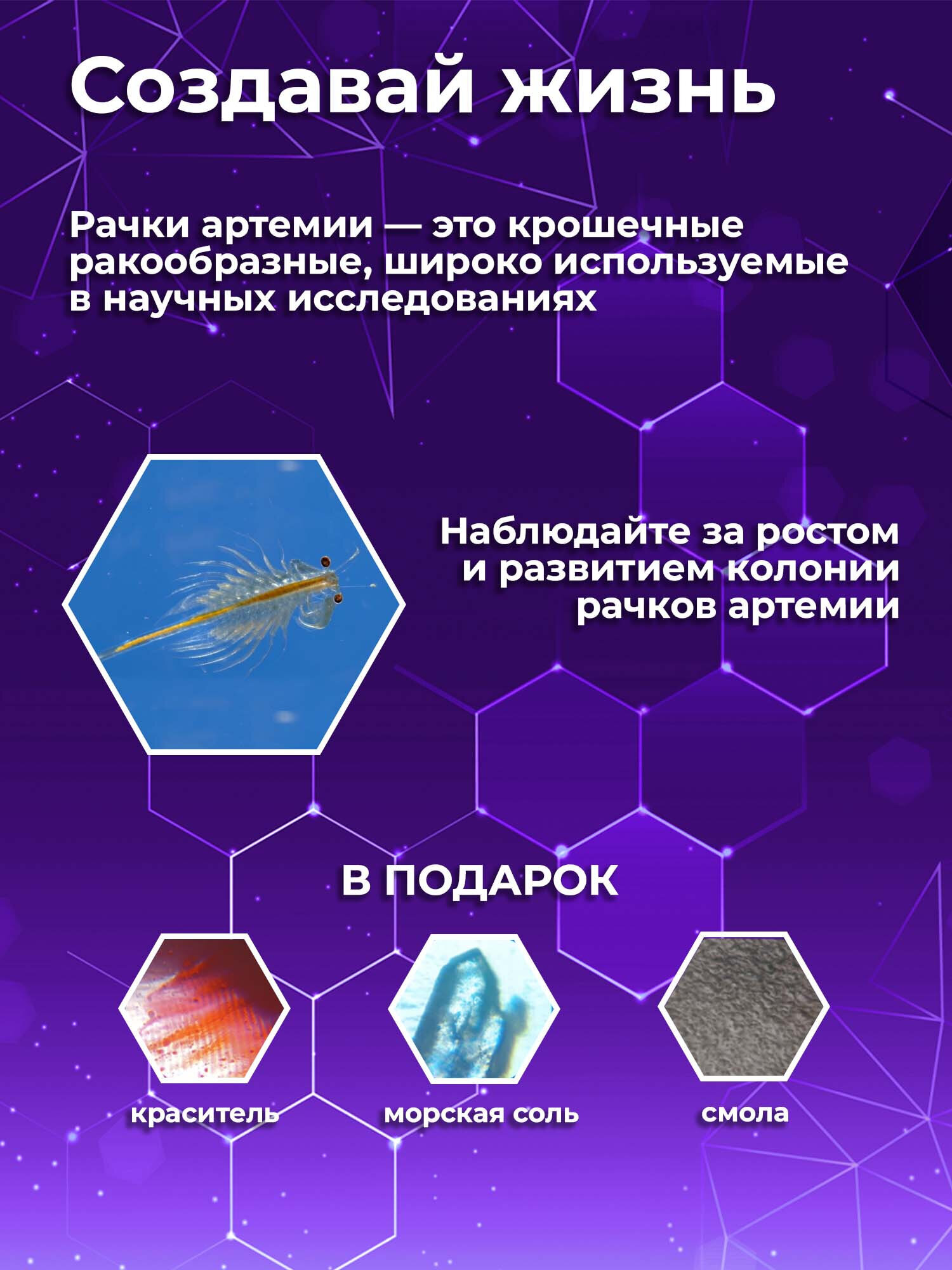 Микроскоп Brauberg - фото 6