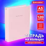Тетрадь со сменным блоком Brauberg клетка 120 лист.