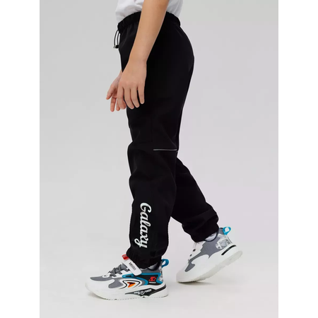 Брюки Lemonwear