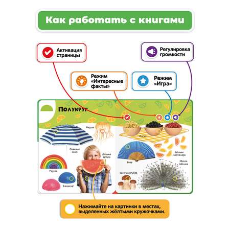 Комплект говорящих книжек BertToys Нажималки: Животные + Формы