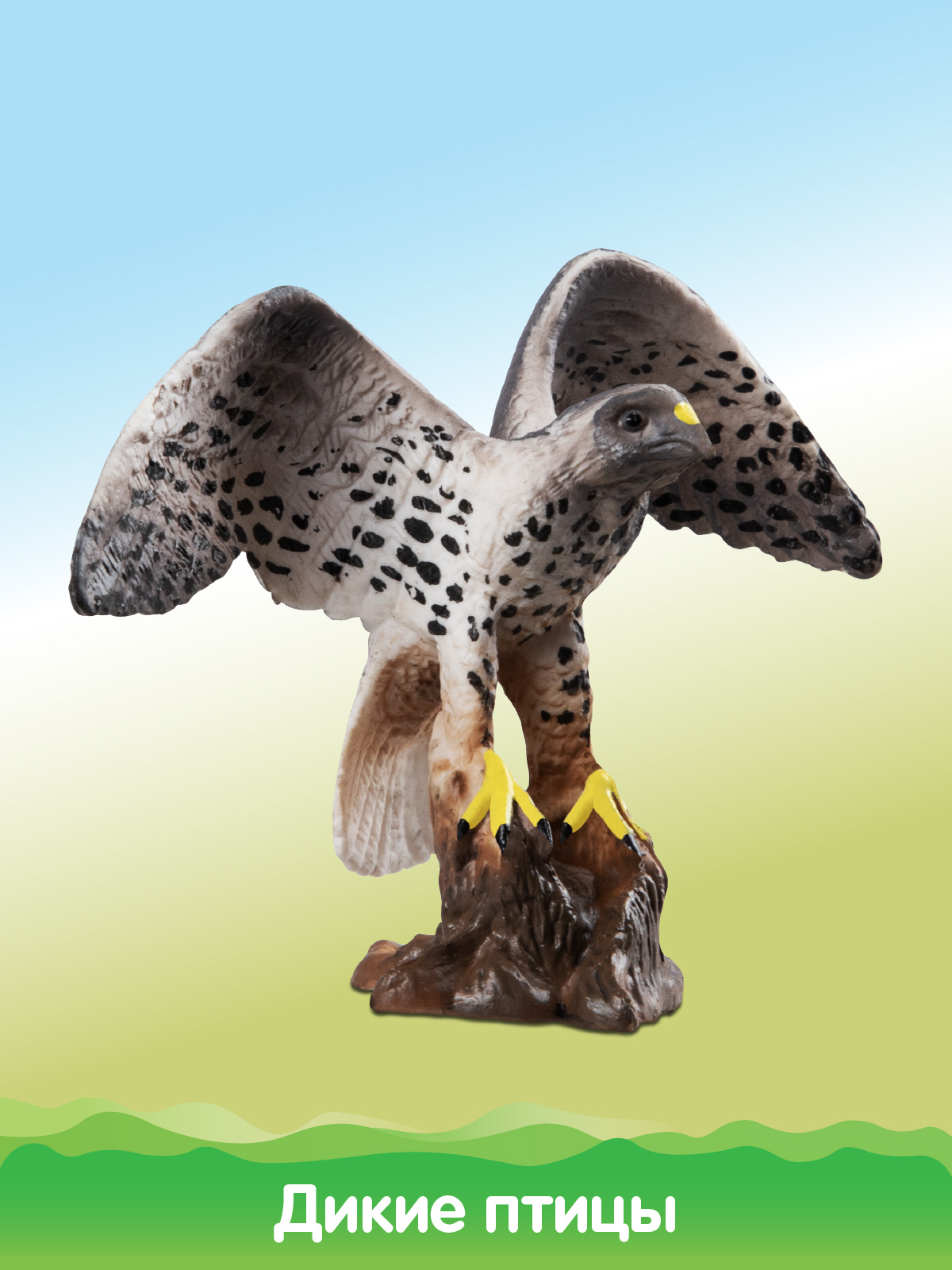 Игровой набор DARWIN Животные Птицы - фото 6