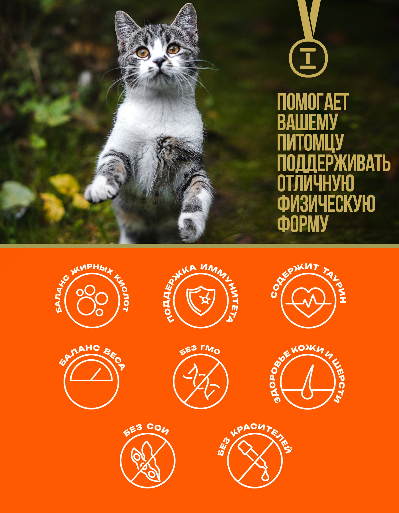 Корм сухой для кошек Profifeed С говядиной 10кг - фото 3