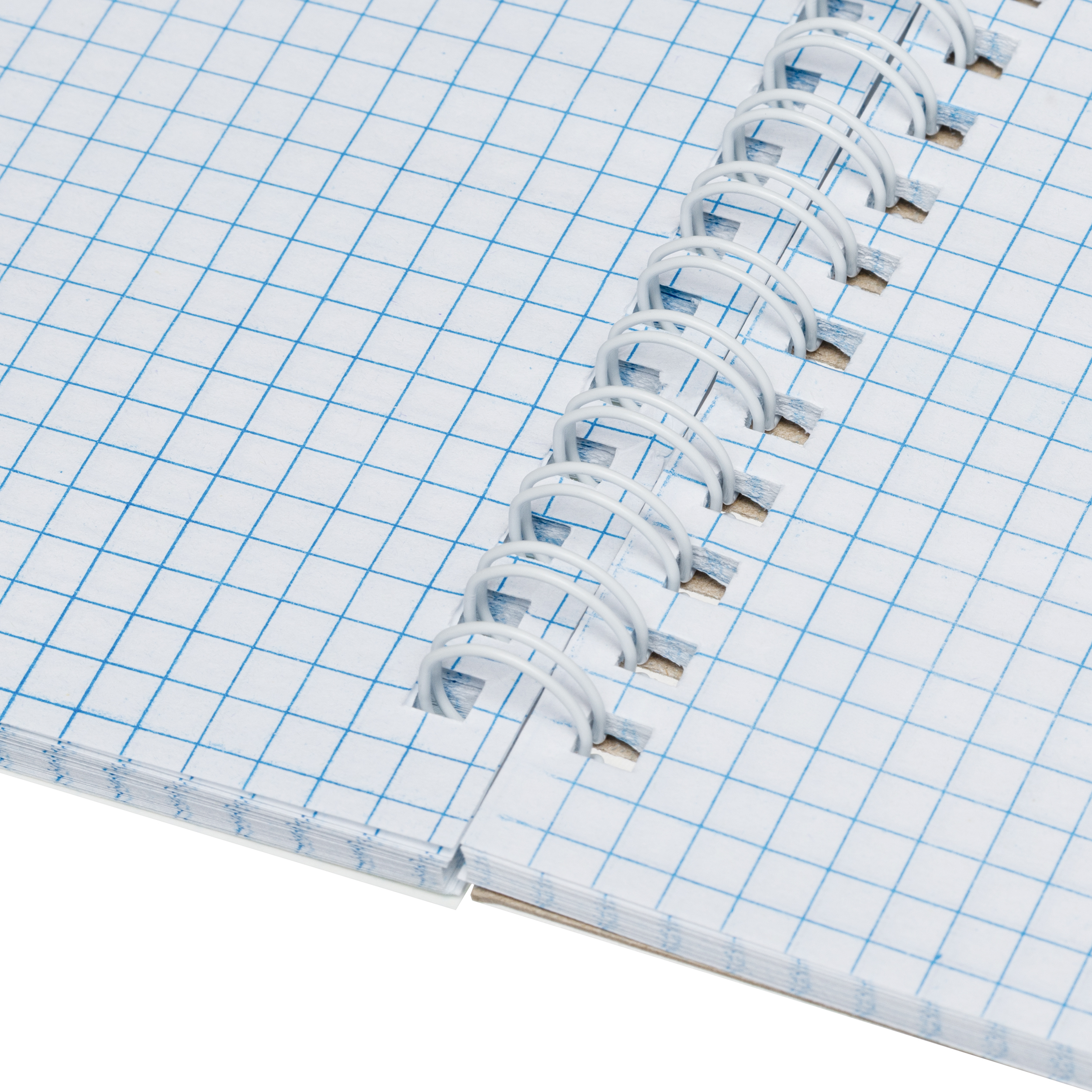 Тетрадь Attache клетка 80 лист. - фото 6