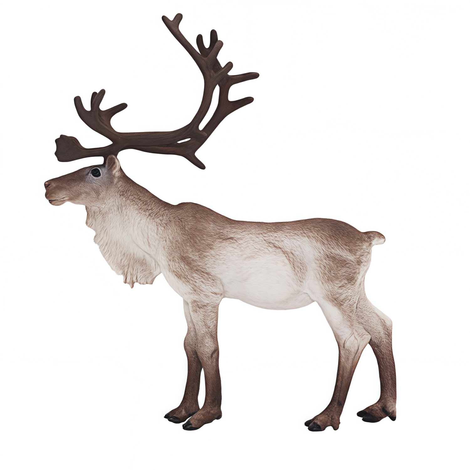 Фигурка Детское Время Северный олень (самец, стоит) - фото 4