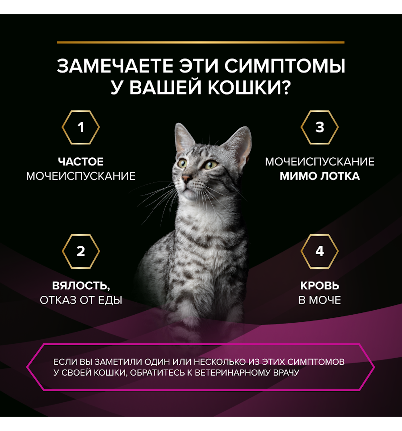 Влажный корм для кошек диетический PRO PLAN Ur St/Ox Urinary при болезнях нижних отделов мочевыводящих путей с лососем 85г - фото 10