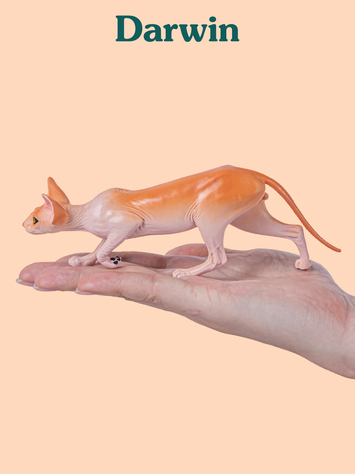 Фигурка DARWIN Кот Сфинкс - фото 2